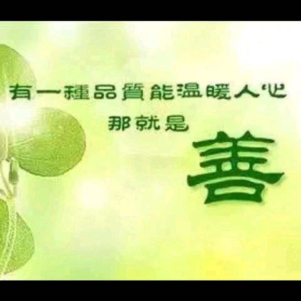 金林