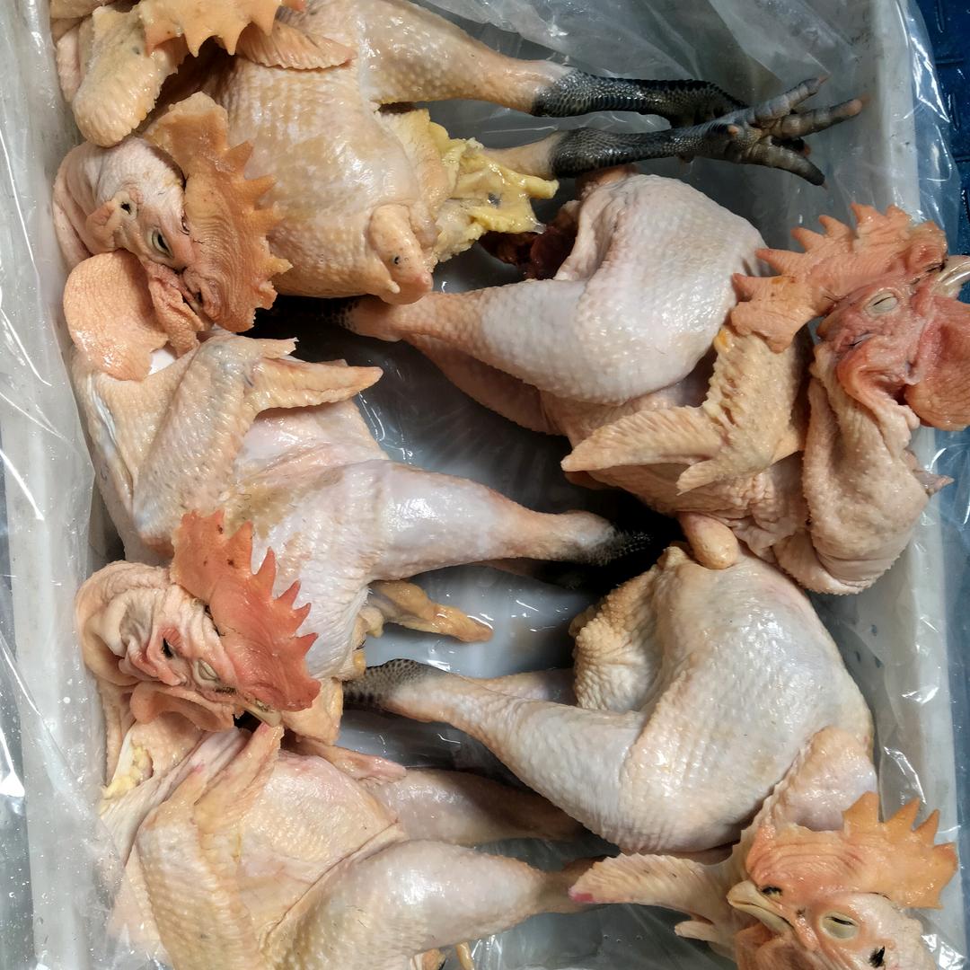 冰鲜鸡生产商