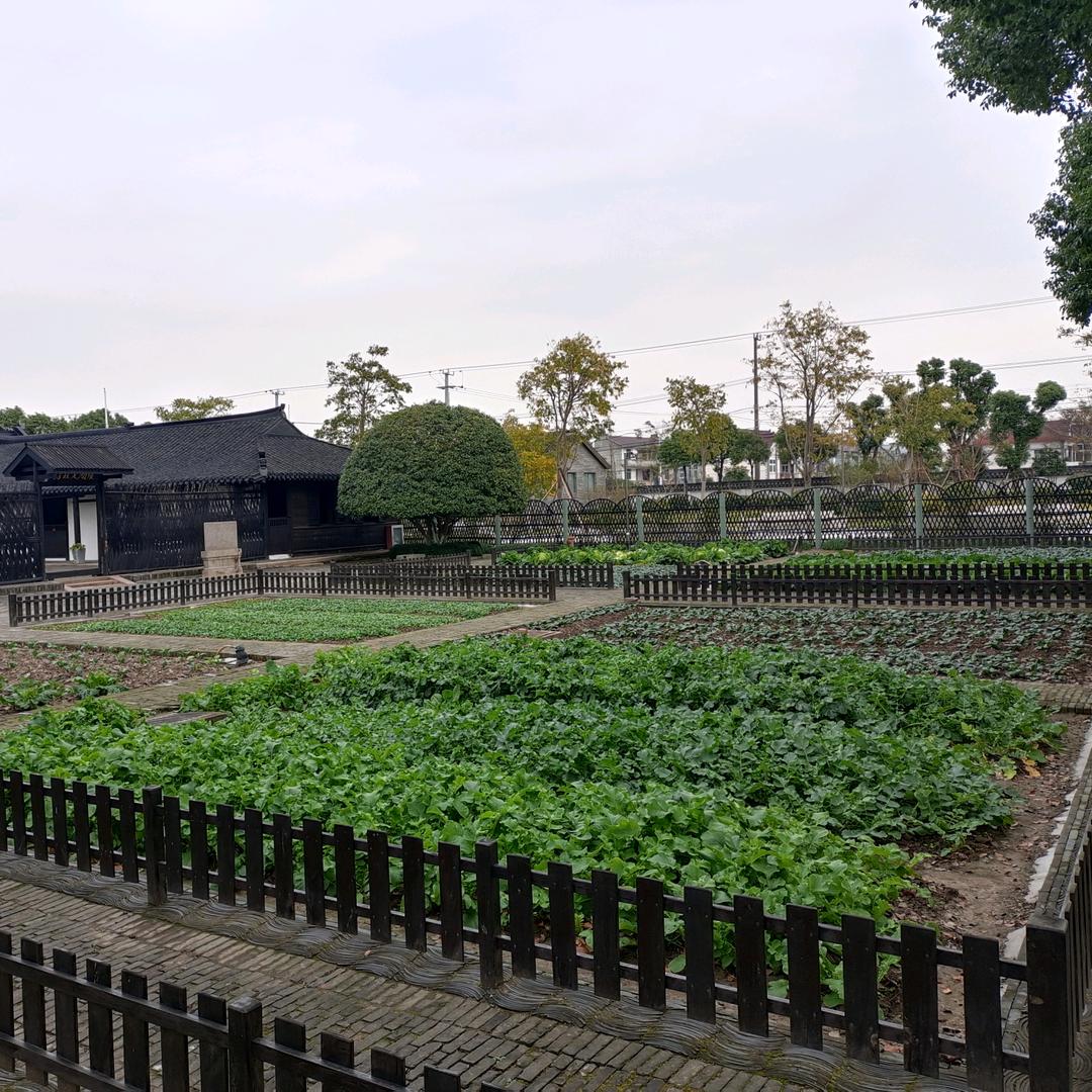 吴正彬