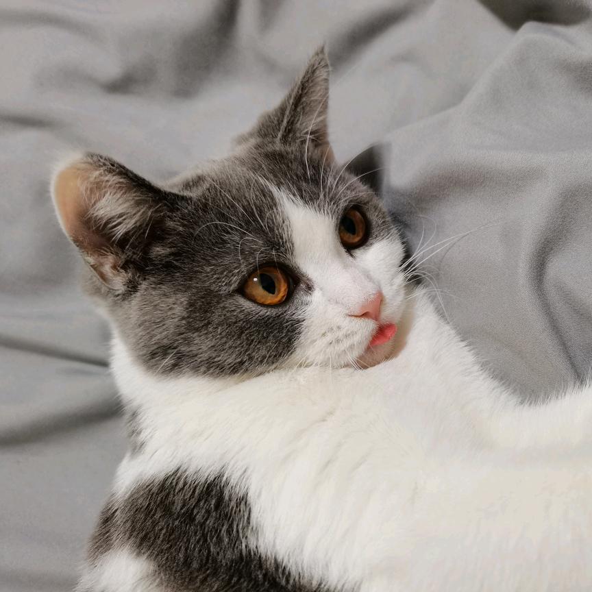 こLOVE→琦の | こ