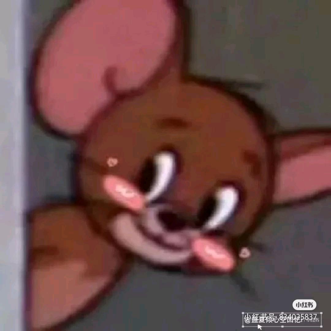 星筠电竞—一只屯鼠