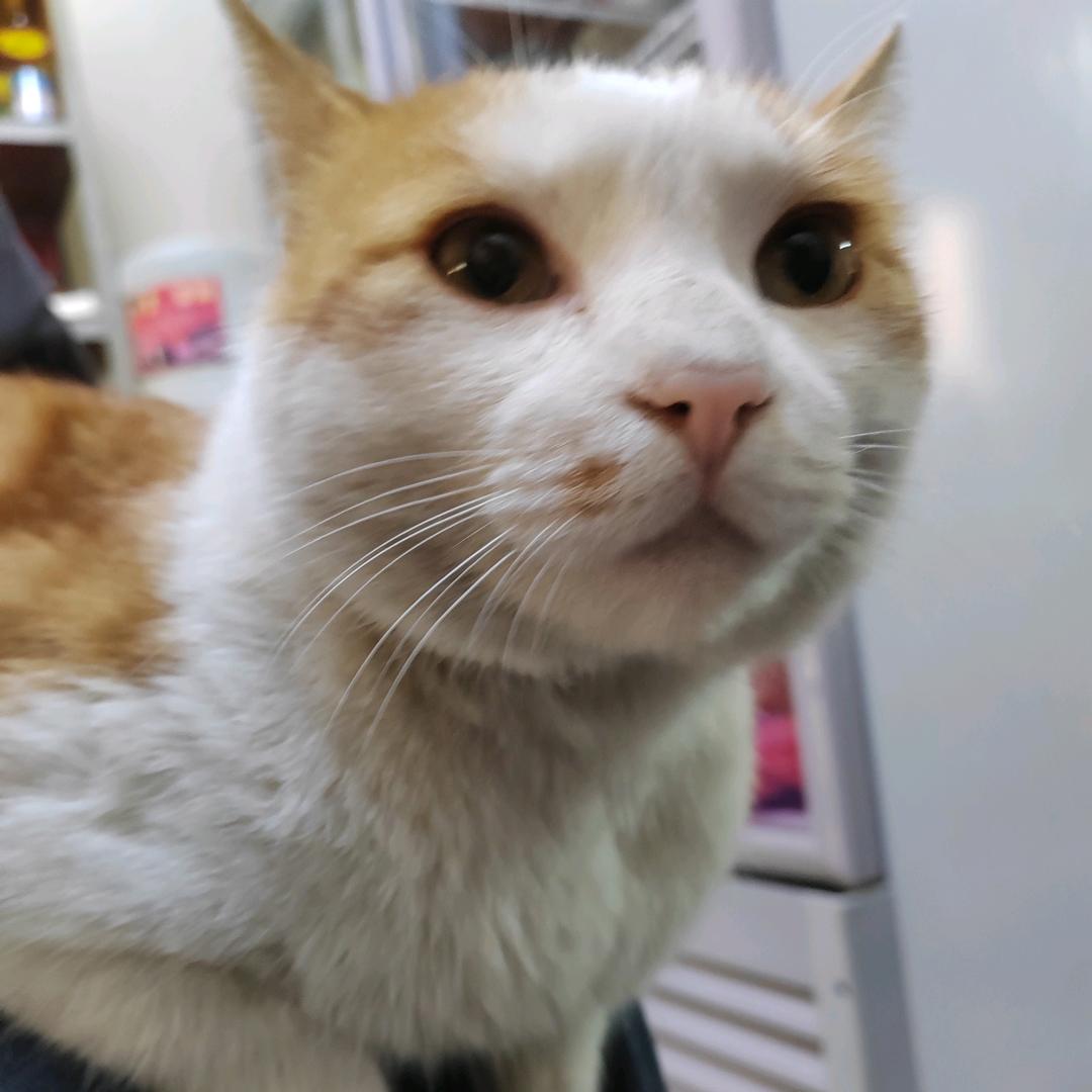 从姐好物小栈