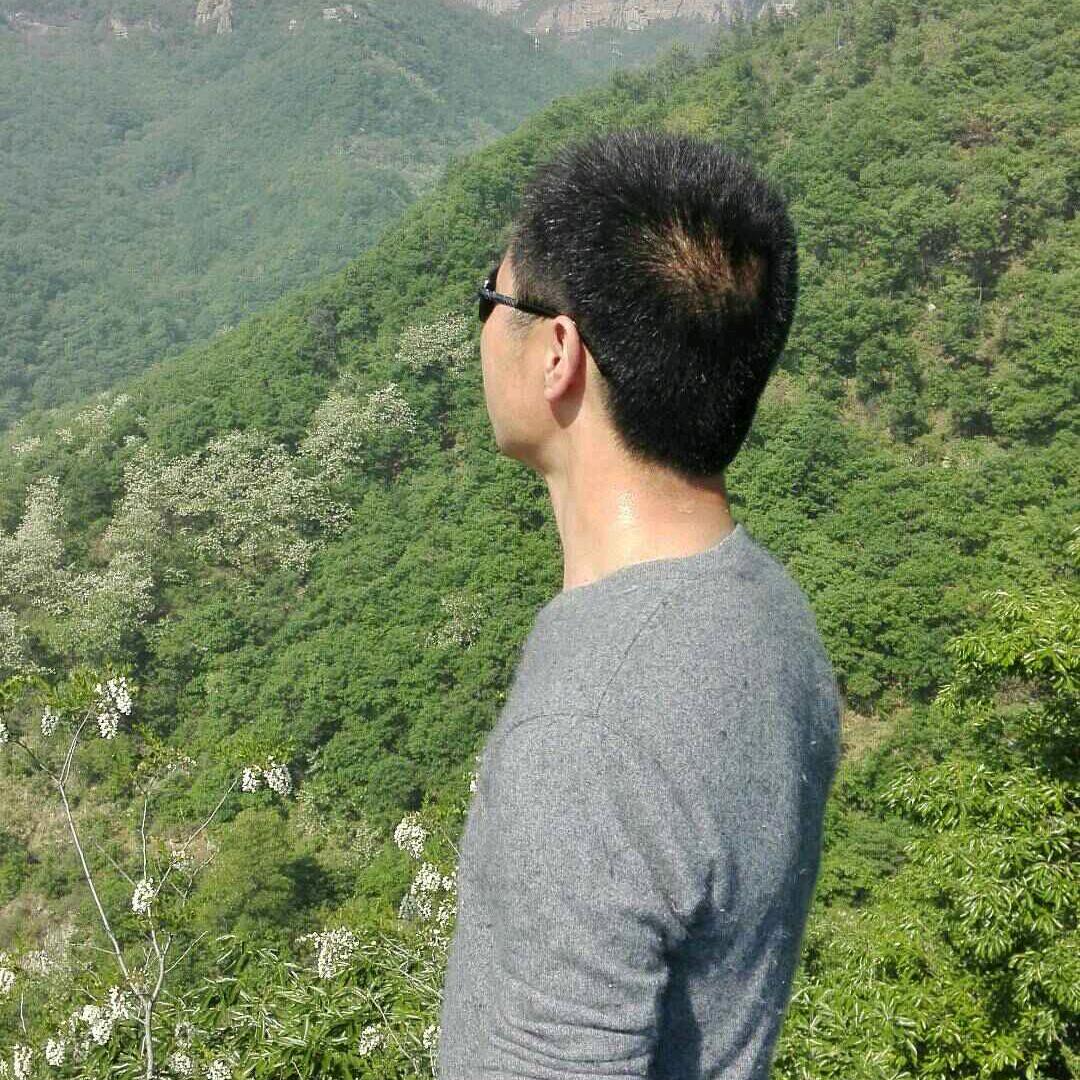 魅力高哥