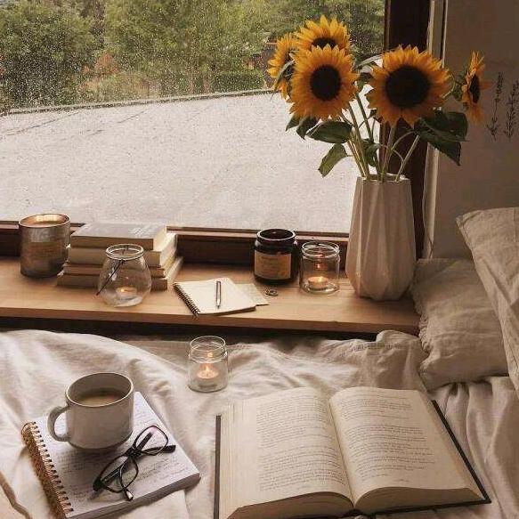 老王的向往生活