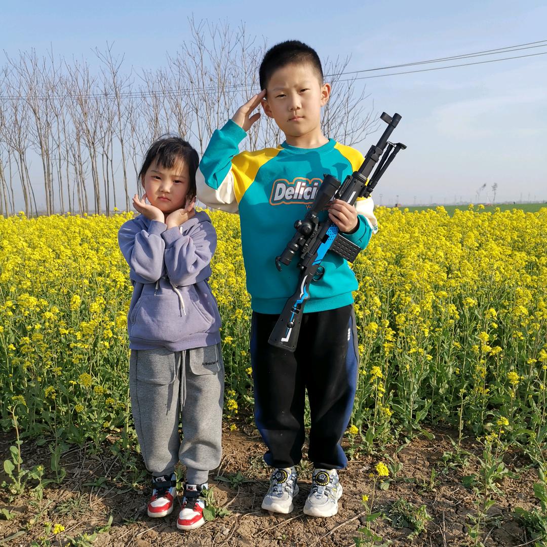 向阳花的季节