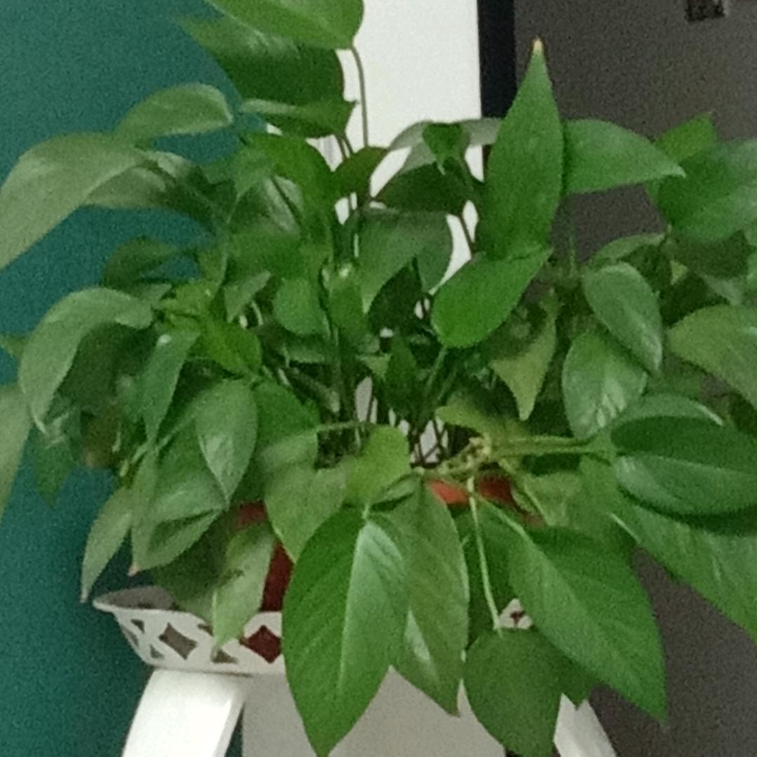 专业疏通下水道