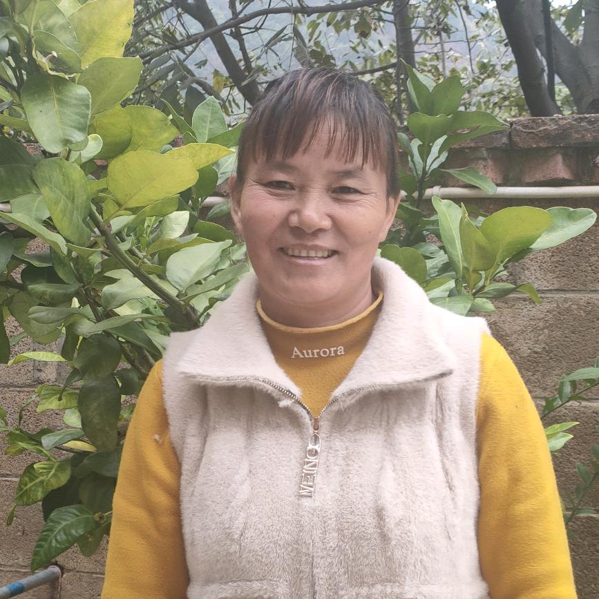 开心姐姐  停播学习中