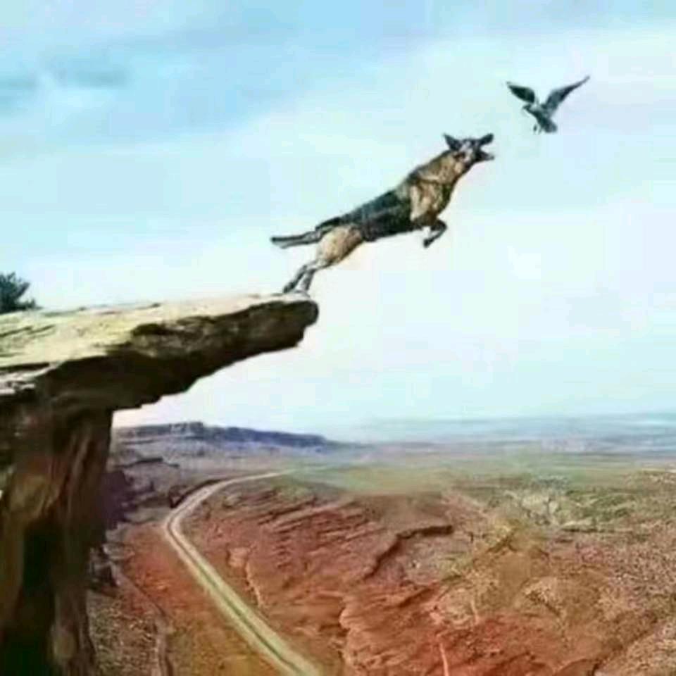 ༒ ཨོ་ལོ།