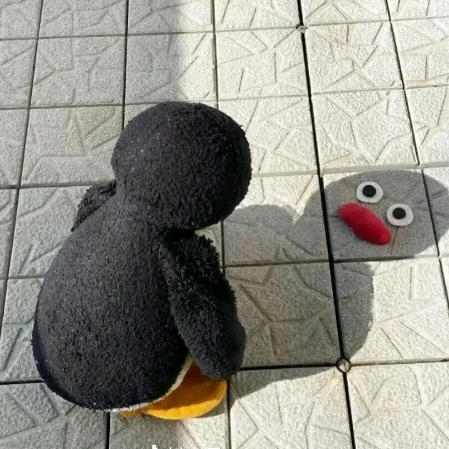 内向腼腆爱打瓦