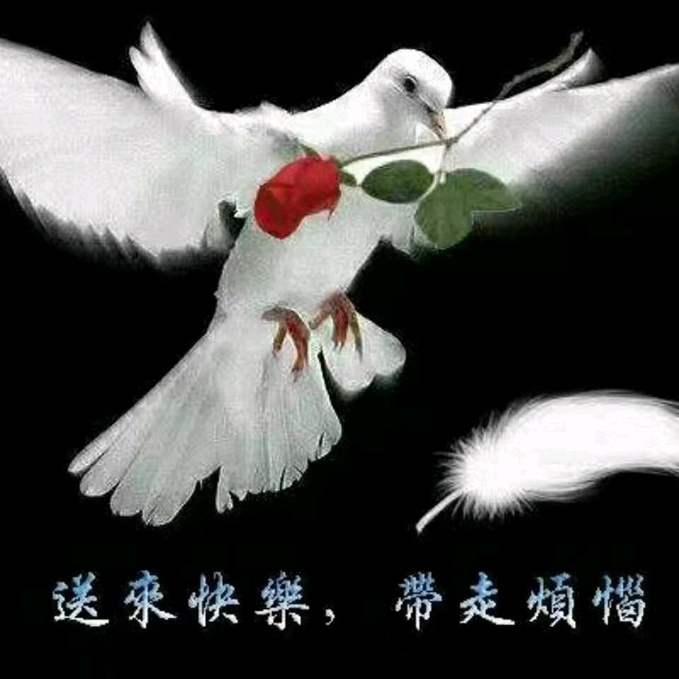 哥是你永远得不到的宝