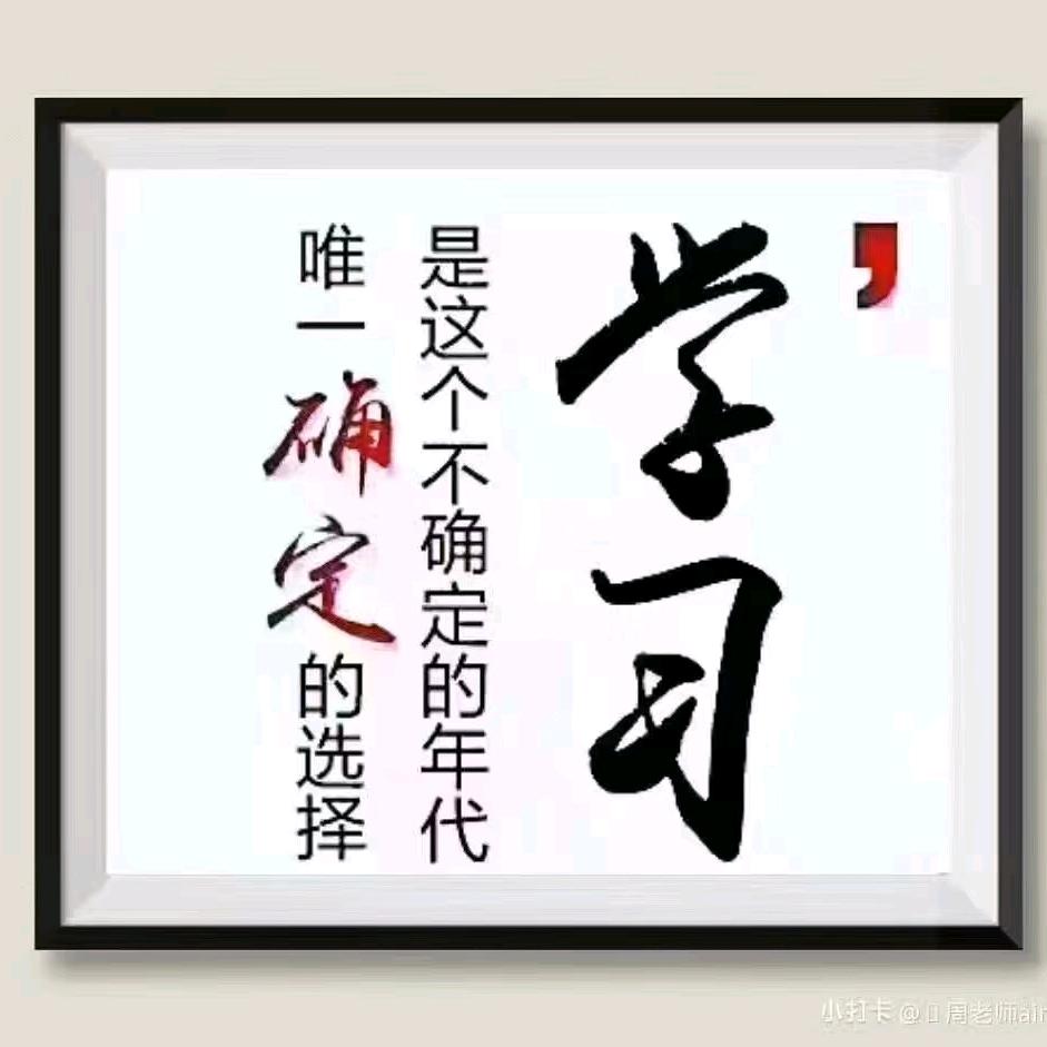 Lily(学业生涯规划)