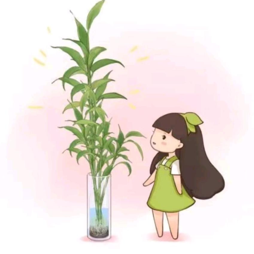 用户3640918044378万事胜意