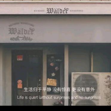 马桶大王
