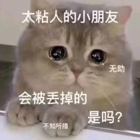 小鲤小鲤不听话