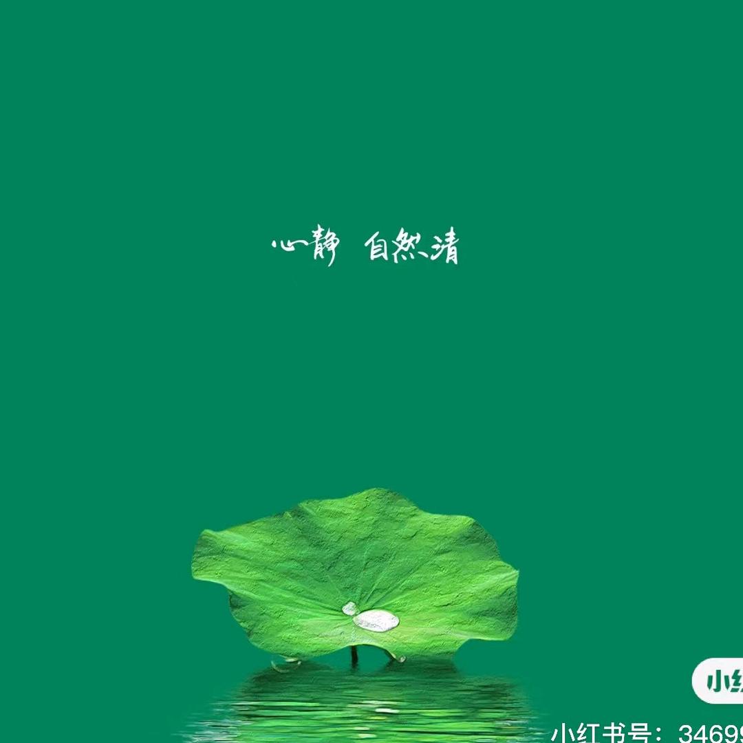 大宝姥姥