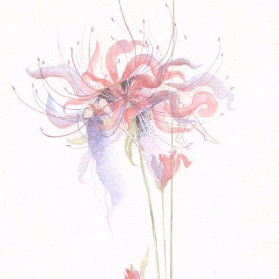 蒹葭