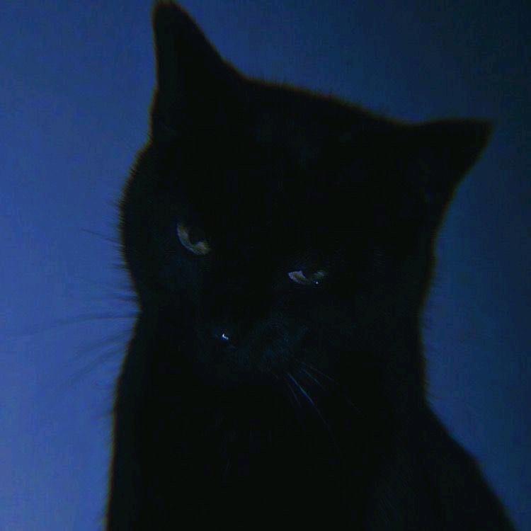 可楽