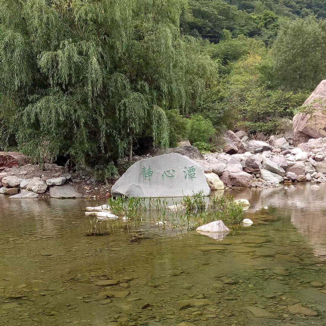 豫小哥
