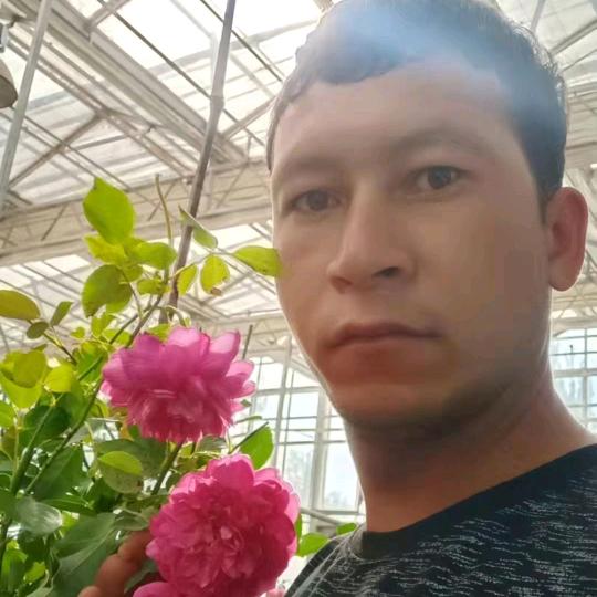 英吉沙县香香卖花店