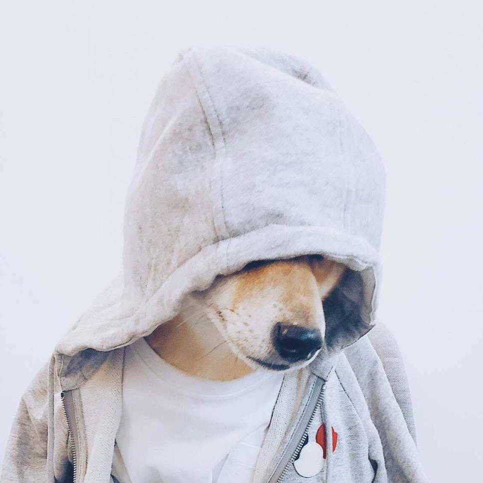 (๑><๑）木子李