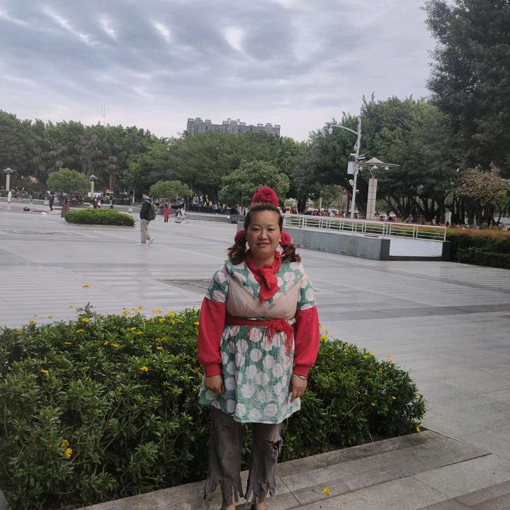 受伤的玫瑰