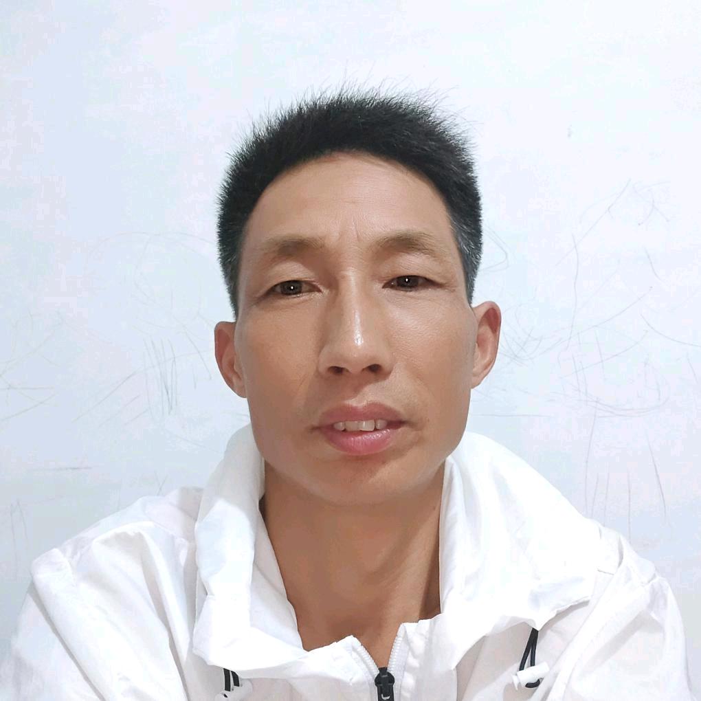 河南艳哥