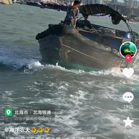 鼠