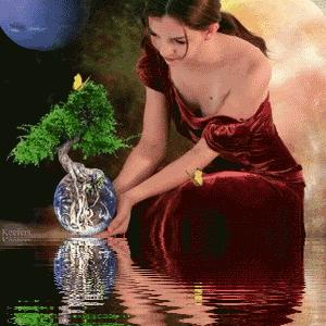 珍惜才配拥有