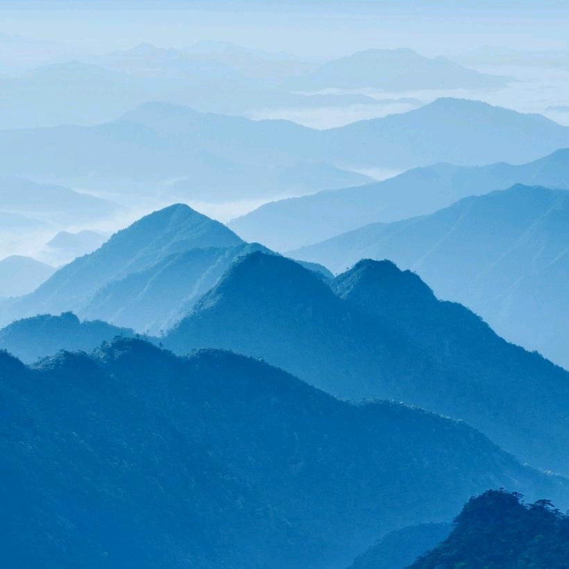 风一样骚气