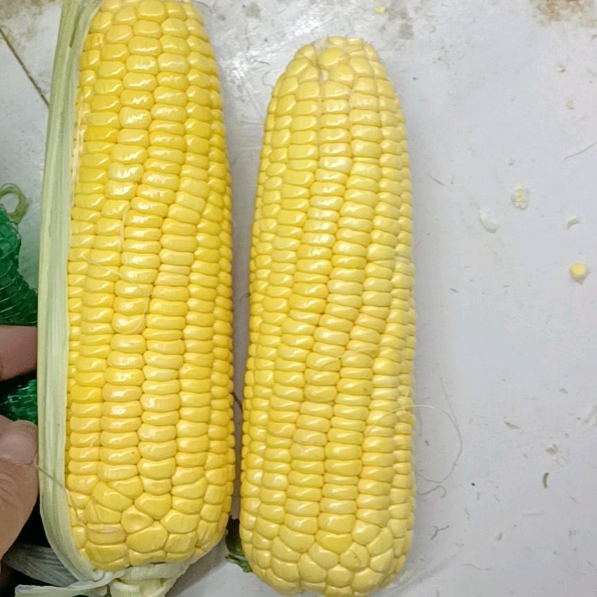 胡一刀