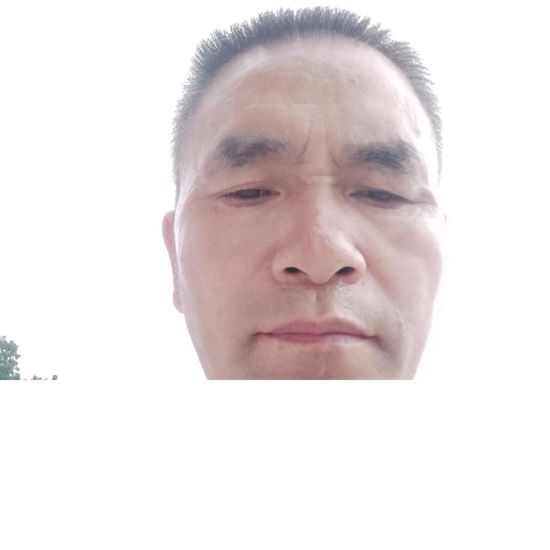 梓