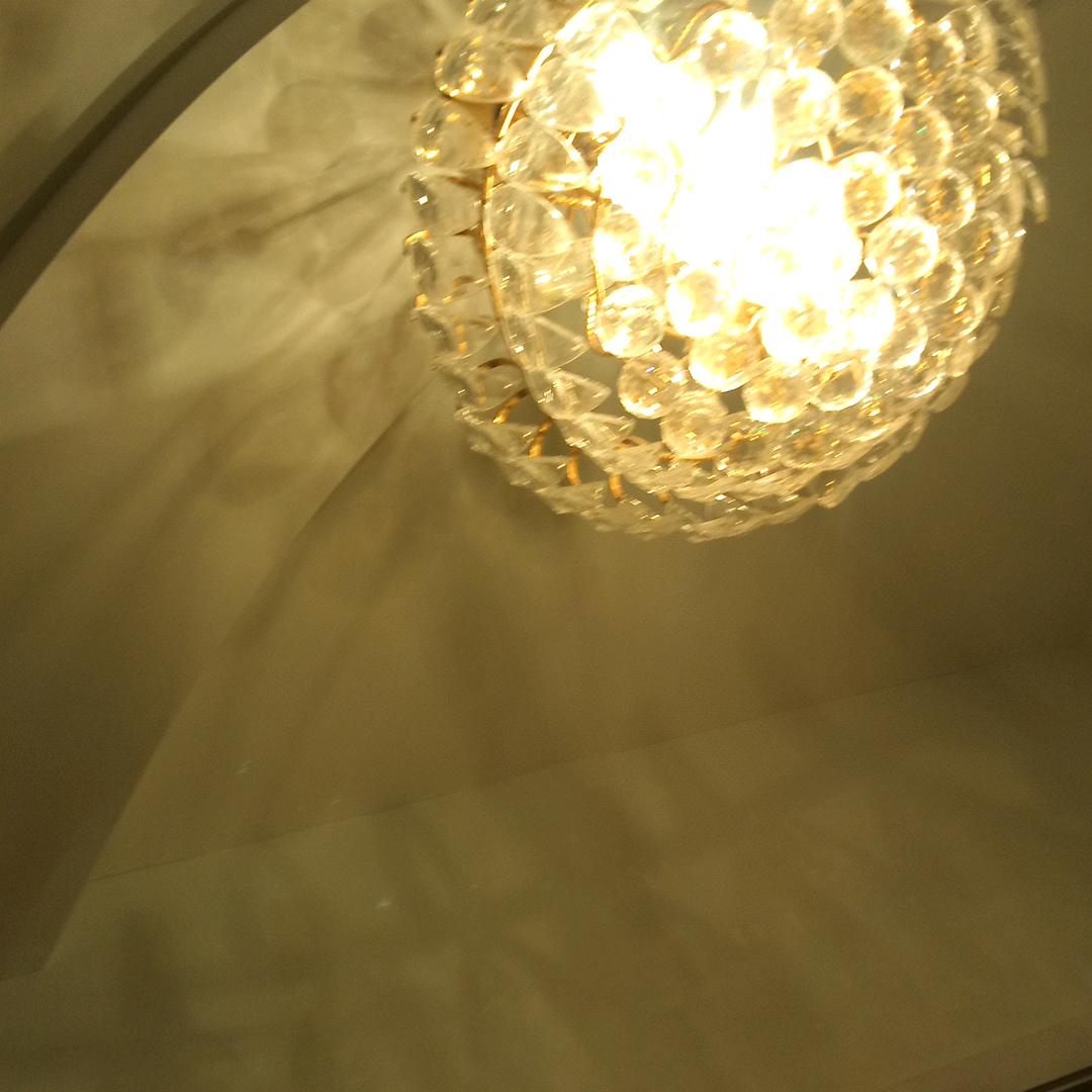 黑菊 ！互相关注，谢谢