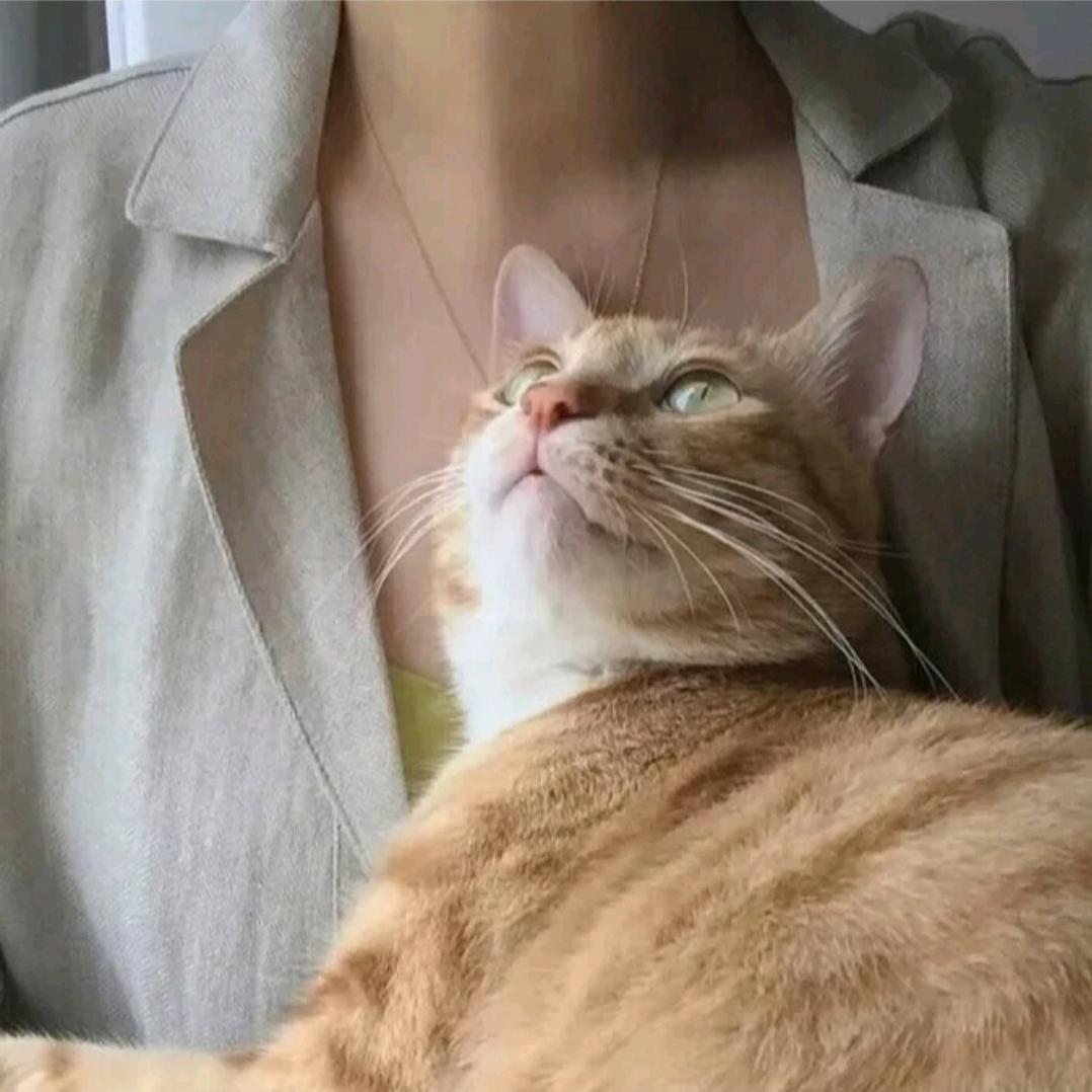 好想自然醒