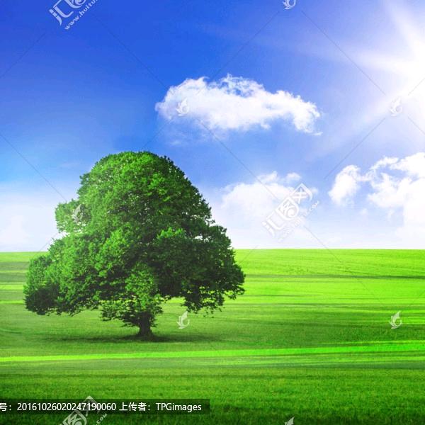 万象皆春🌻🌾🍎