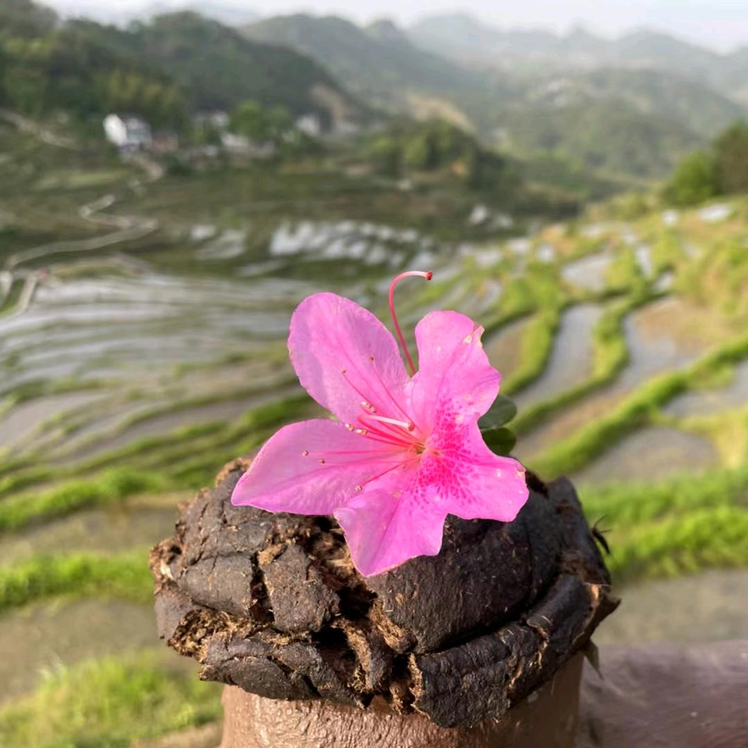 荣达百货工厂