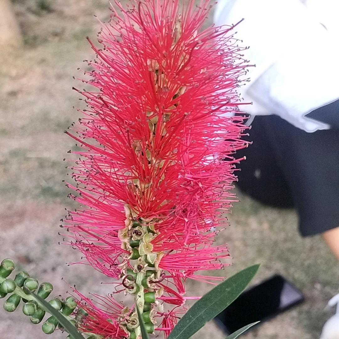 迁就你一生