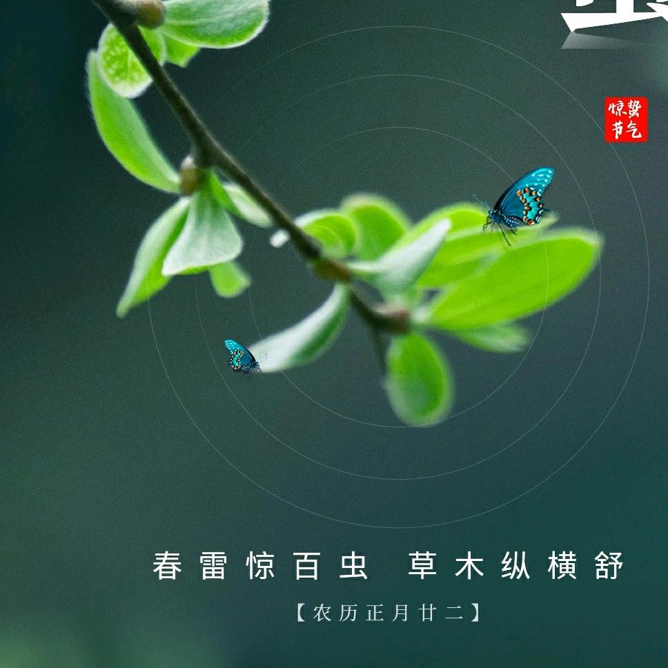 千年乌衣巷