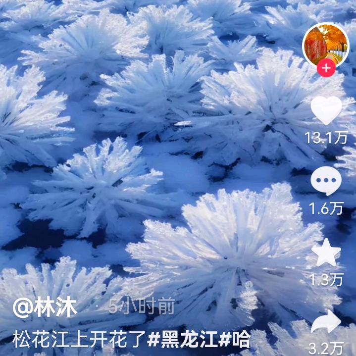 橘子
