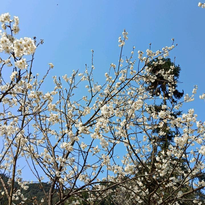 明天会更好