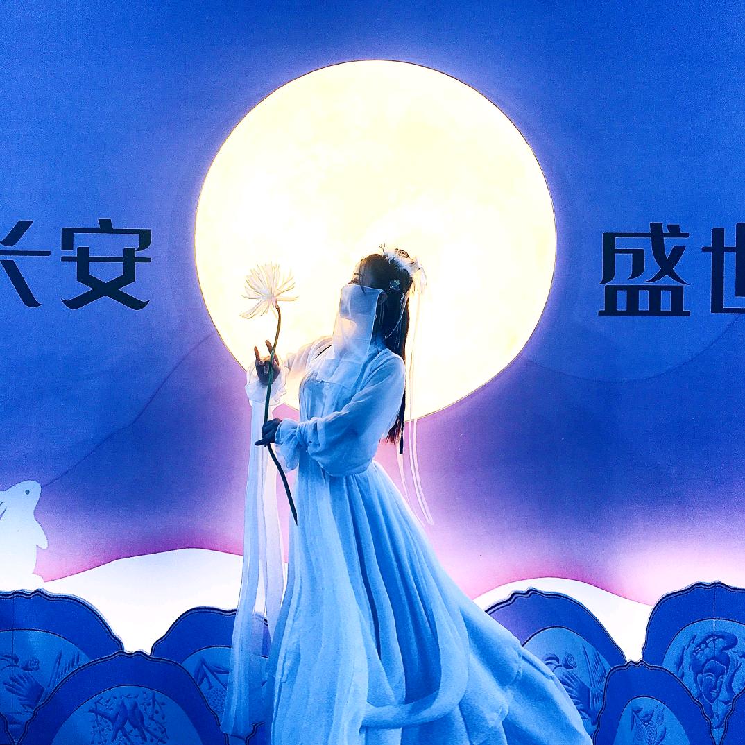 长安小燕子(大宋不夜城不倒翁)
