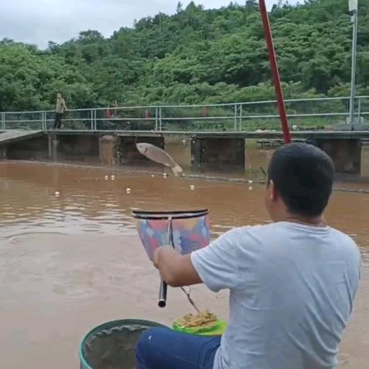 军爱生活爱钓鱼
