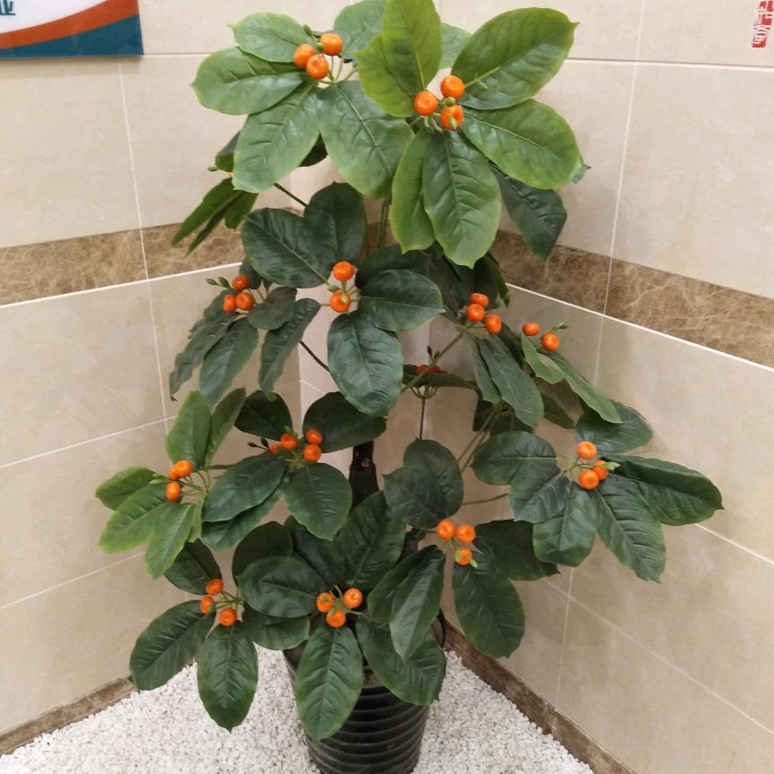 有你真好，(菊花)