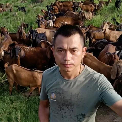 龙和羊肉生鲜