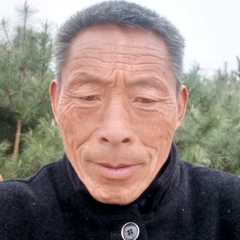 用户7732962959764