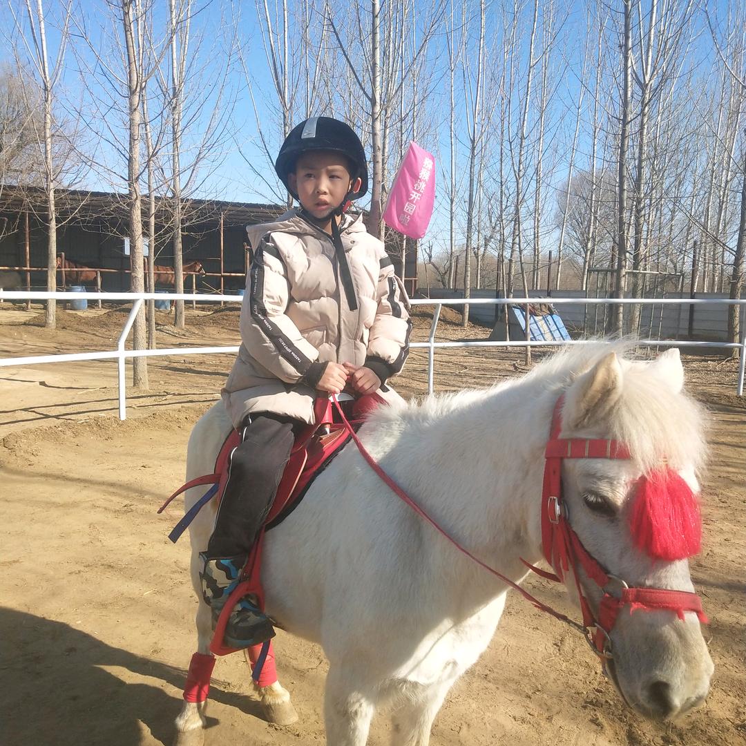 乐呵一天是一天