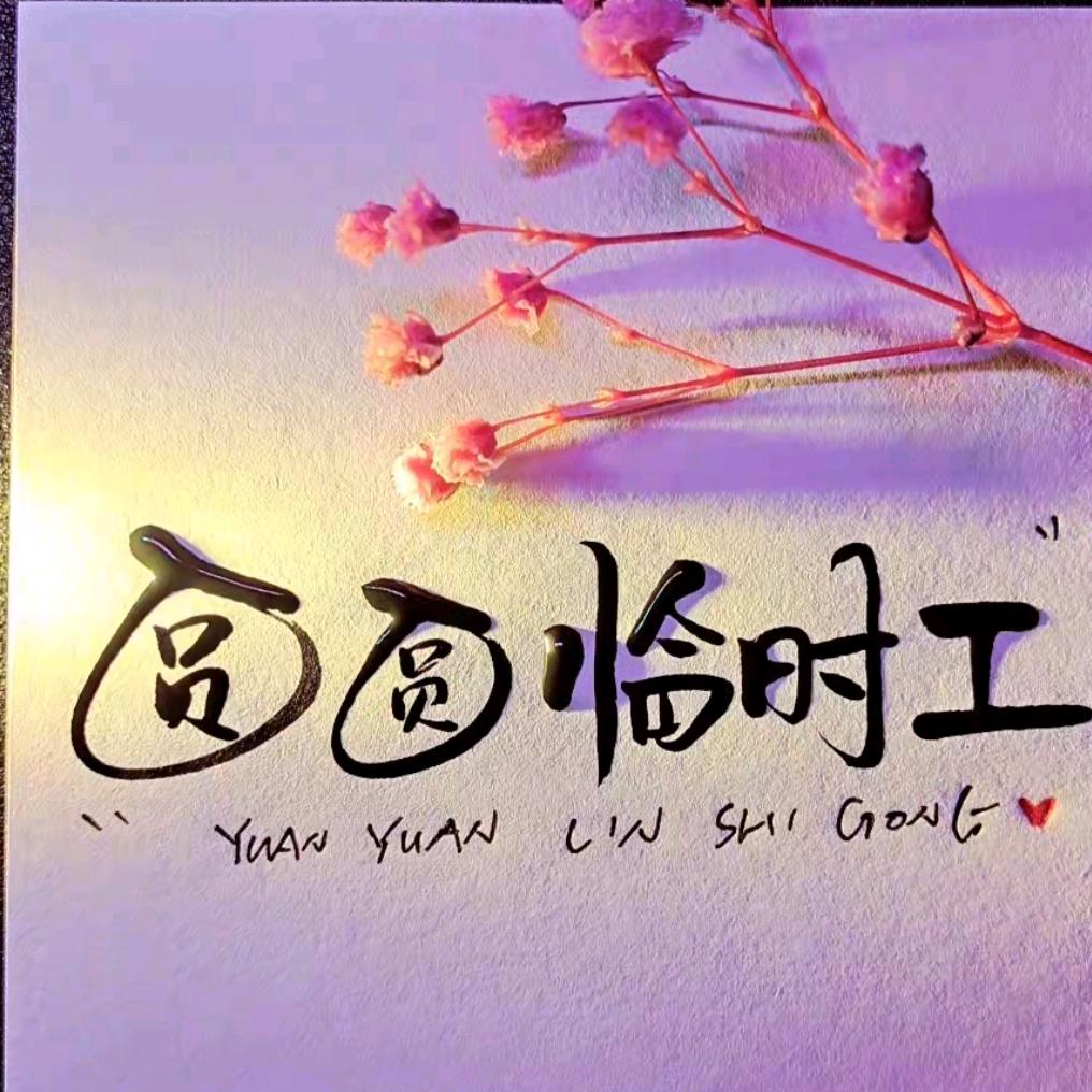 圆圆日结工资