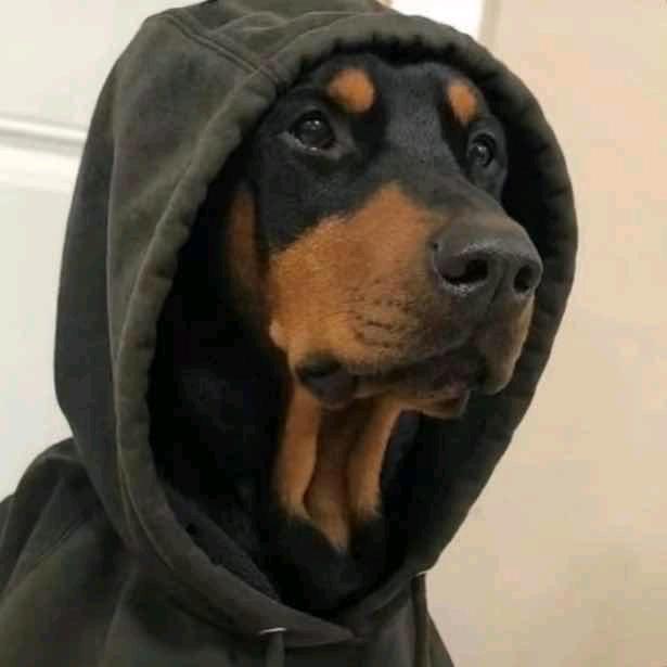 哇哦