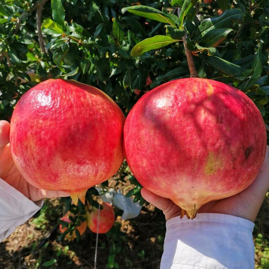 通院敏敏购物企业号