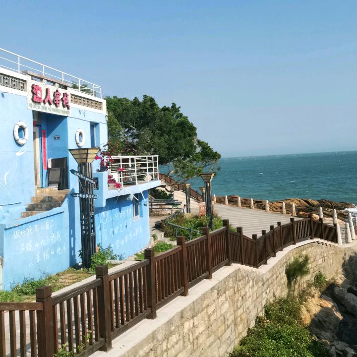 海浪🌊仙人掌🌵