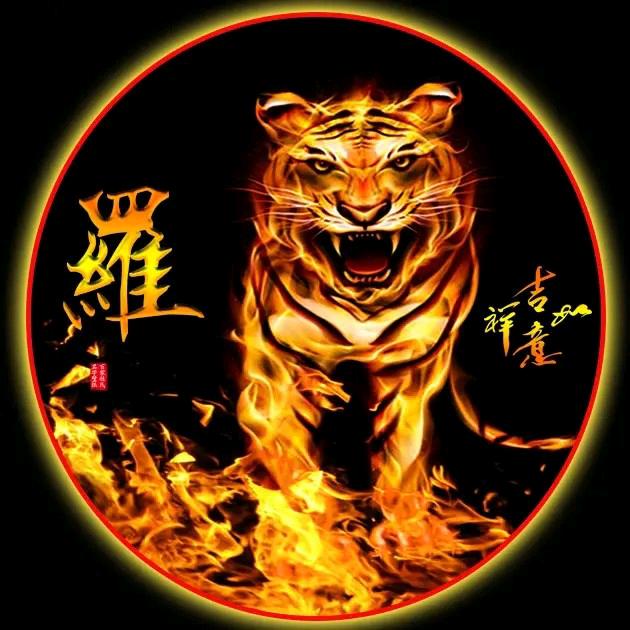 村长阿山🔥🔥(⋟﹏⋞)